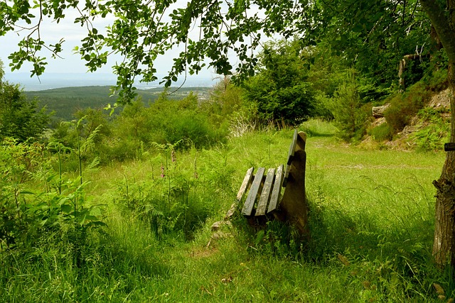 米体：国米看上刘易斯-弗格森，球员身价不低于3000万欧